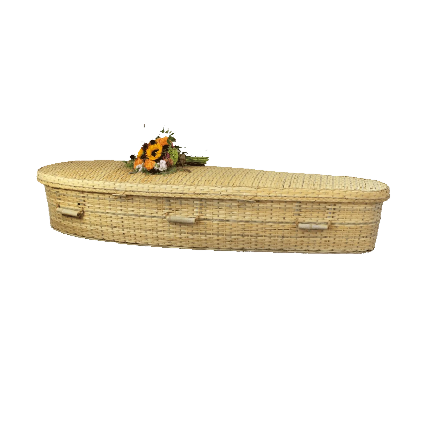 Bamboo