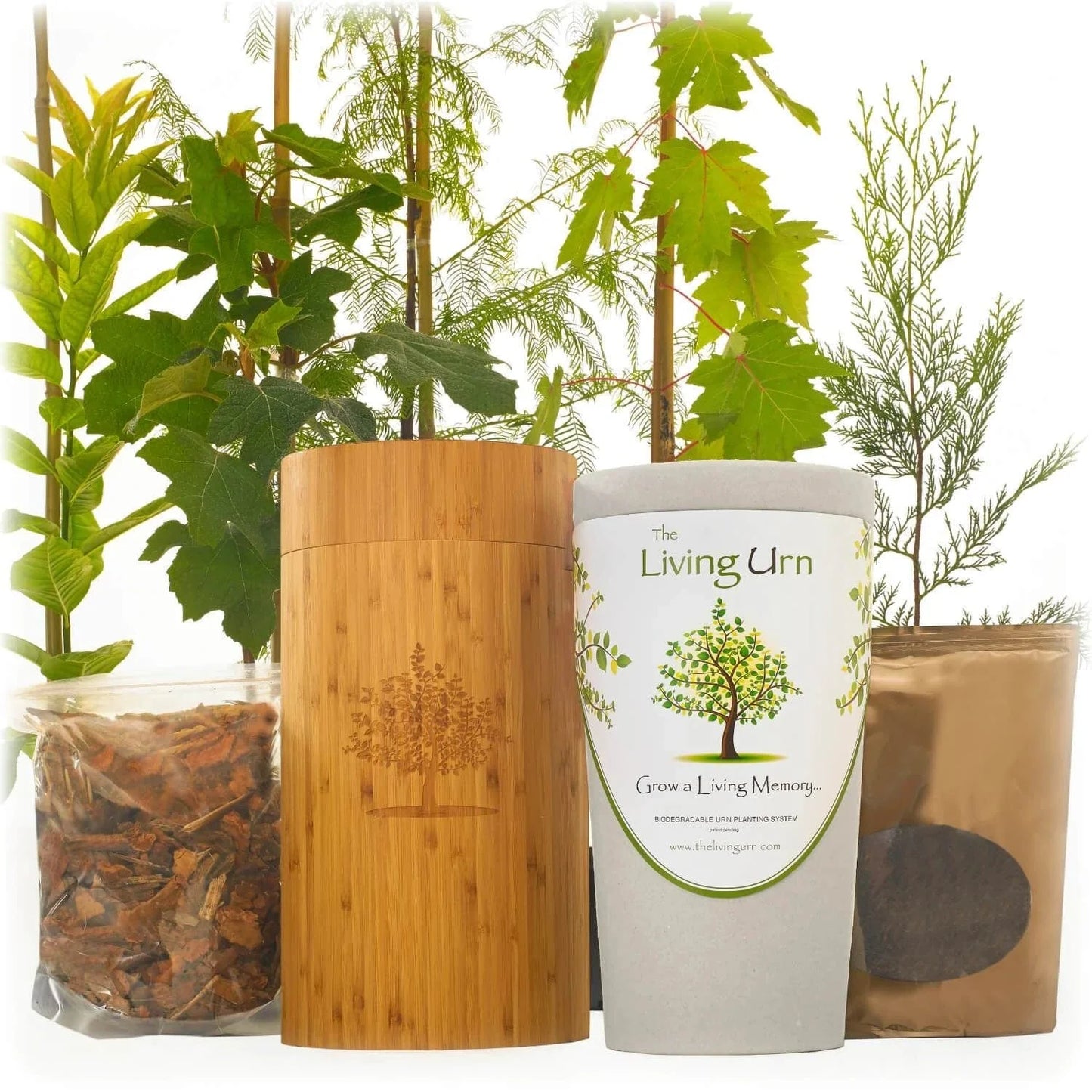 Living Urn