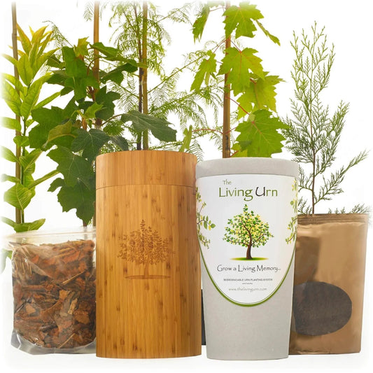 Living Urn